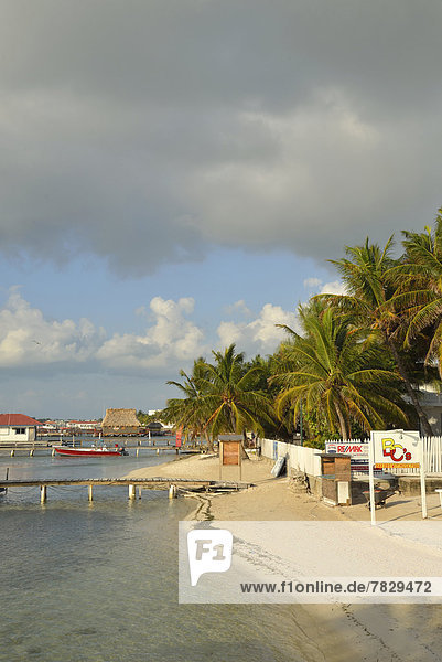 Strand  Karibik  Mittelamerika  Belize
