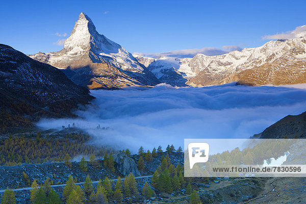 Europa Berg Morgen Baum See Nebel Matterhorn Herbst Lärche Stimmung Bergsee Schweiz Weg