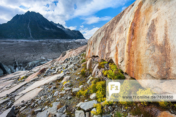 Felsbrocken Europa Steilküste Eis Natur UNESCO-Welterbe Schweiz Aletschgletscher