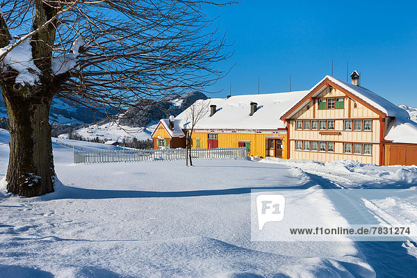 Farbaufnahme Farbe Bauernhaus Europa Winter Wohnhaus Schnee Schweiz