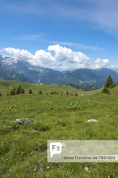Panorama Landschaftlich schön landschaftlich reizvoll Europa Berg Wiese Les Diablerets Schweiz