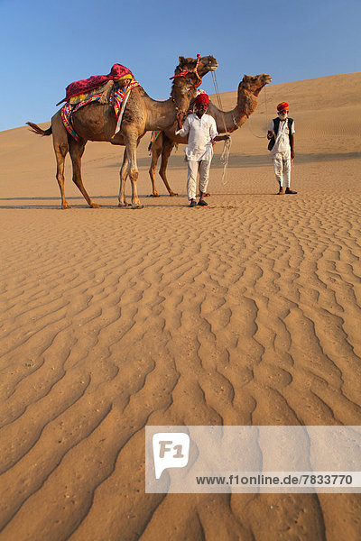 fahren  Wüste  Sand  Düne  Kamel  Asien  Beduine  Indien  Rajasthan  Turban