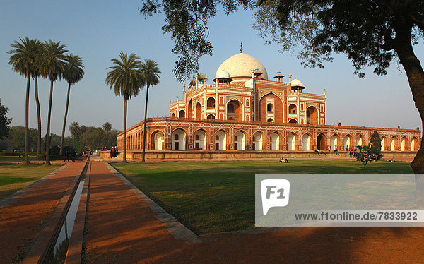 Kuppel Sehenswürdigkeit Sonnenuntergang Baum Tourist Architektur Nachmittag Delhi Hauptstadt Asien Kuppelgewölbe Indien Mausoleum Grabmal Weg