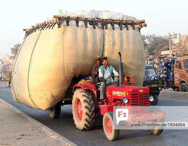 Transport  Tasche  Straße  Landwirtschaft  Traktor  groß  großes  großer  große  großen  Wolle  Überbelastung  Agra  Asien  Indien  Uttar Pradesh
