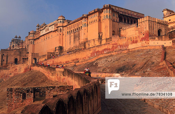 Wand  Attraktivität  Morgen  Sonnenaufgang  Tourist  Festung  Elefant  Asien  Indien  Rajasthan  Weg