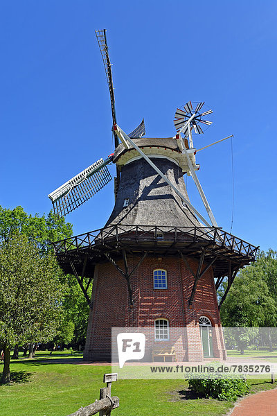 Europe  Germany  Lower Saxony  Bad Zwischenahn  Health resort park  Open-air museum  Windmill  2-storey  gallery caps windmill  architecture  trees  building  construction  machines  museum  park  plants  place of interest  technology  technics  tourism