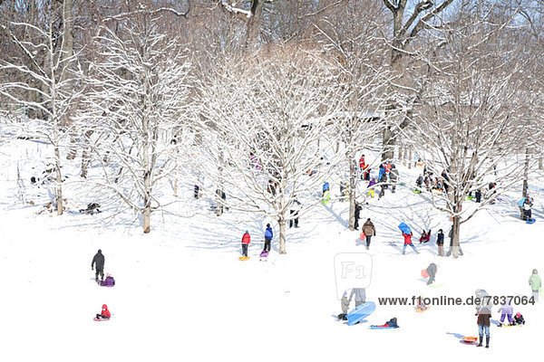 A crowd of people sledding in a park