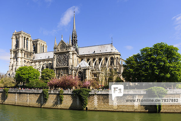 Kathedrale Notre Dame  Seine  Ile de la Cite