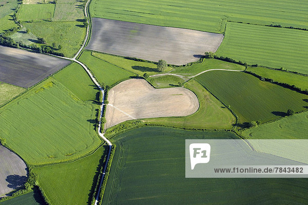 Aerial view of a heart-shaped field  agriculture with heart