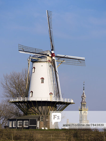 Die Windmühle von Veere  hinten der Turm des Rathauses