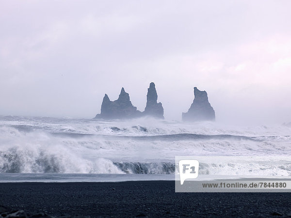 Island  Blick auf die Wellen des Atlantiks am Black Lava Beach