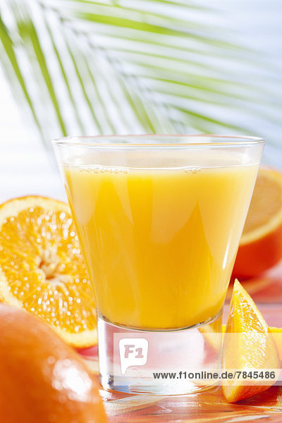 Glas mit Orangensaft und Palmblatt  Nahaufnahme