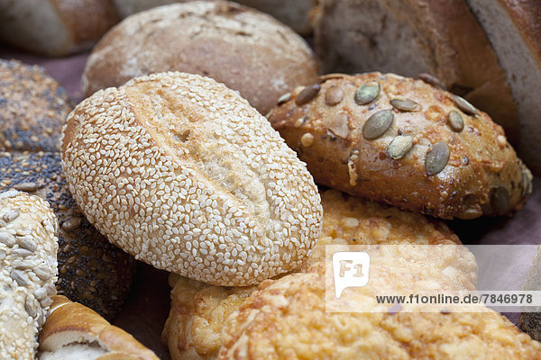 Mixed sorts of bread and rolls  close up