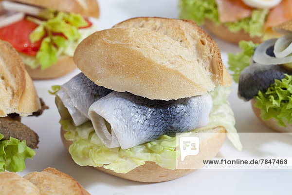 Varieties of bread rolls with fish on white background  close up