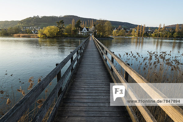 Deutschland  Blick auf die Holzbrücke am Rhein