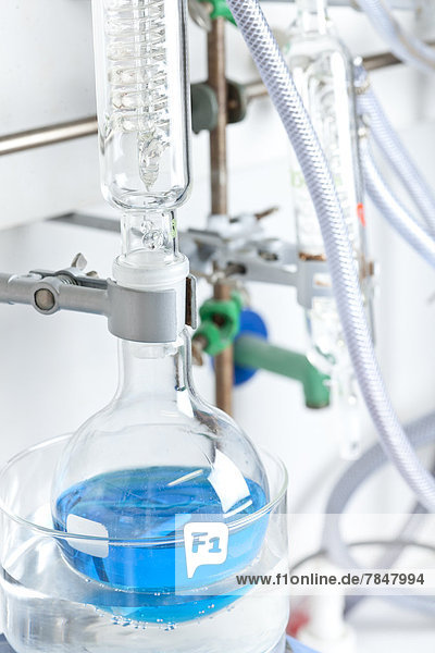 Germany  Blue liquid in flask at chemical laboratory