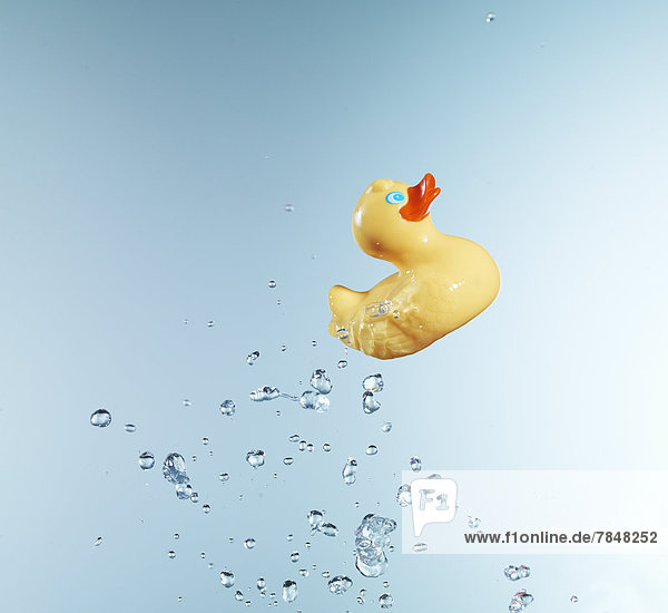 Rubber duck against blue background