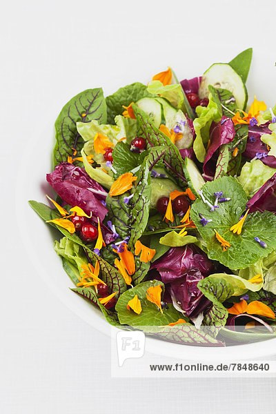 Salat in Schale auf weißem Grund  Nahaufnahme