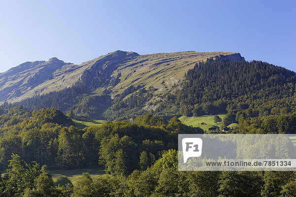Österreich  Vorarlberg  Blick auf das Kanisfluhgebirge