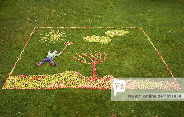 Germany  Boy lying on apples framing picture