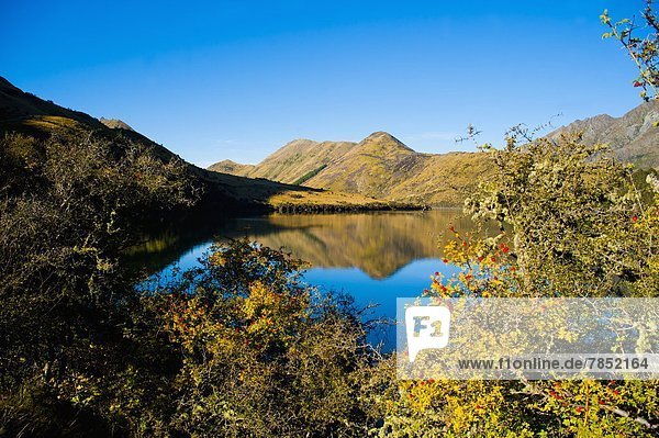 Morgen Spiegelung See früh Pazifischer Ozean Pazifik Stiller Ozean Großer Ozean neuseeländische Südinsel Neuseeland Otago Queenstown Reflections