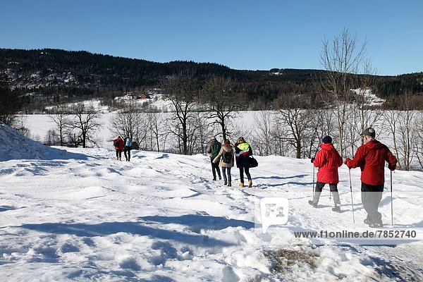 Walkers in the snow at Sem Lake  Asker  South Norway  Scandinavia  Europe