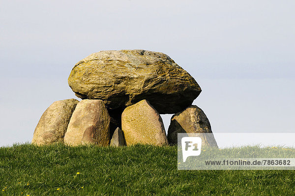Urdolmen  Lehmsiek  Schleswig-Holstein  Deutschland