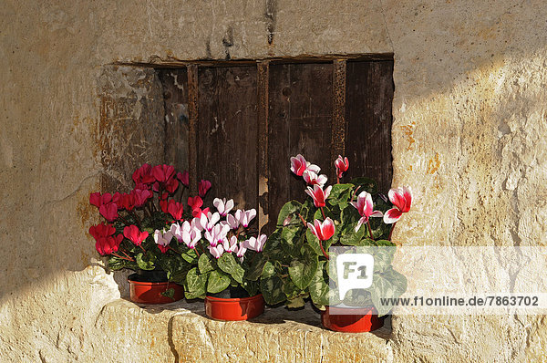 Blumenschmuck  St. Sixte  Eygalieres  Provence  Frankreich