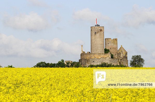 Burg Münzenberg  Münzenberg  Hessen  Deutschland