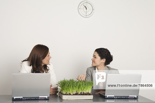 Colleague looking at each other talking  laptop computers and wheatgrass plant on desk