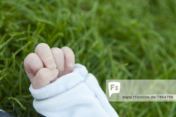 Babyhand  Gras im Hintergrund