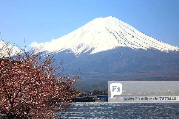 Mount Fuji and Lake Kawaguchi  Yamanashi Prefecture
