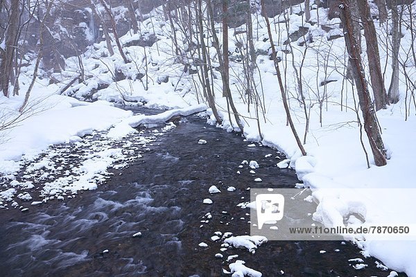 Oirase mountain stream  Aomori Prefecture