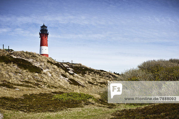 Leuchtturm von Hörnum  Sylt  Schleswig-Holstein  Deutschland