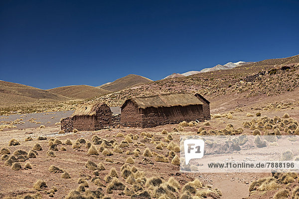 Abgelegener Bauernhof im Reserva Nacional de Fauna Andina Eduardo Abaroa  Anden  Bolivien
