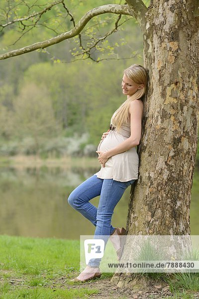 Young pregnant woman leaning on a tree trunk