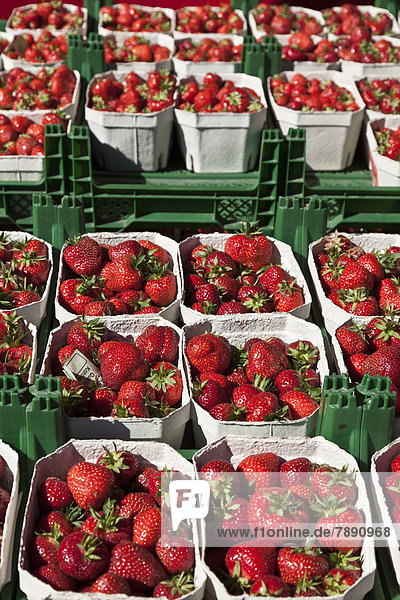 Erdbeere  Außenaufnahme  verkaufen  Markt