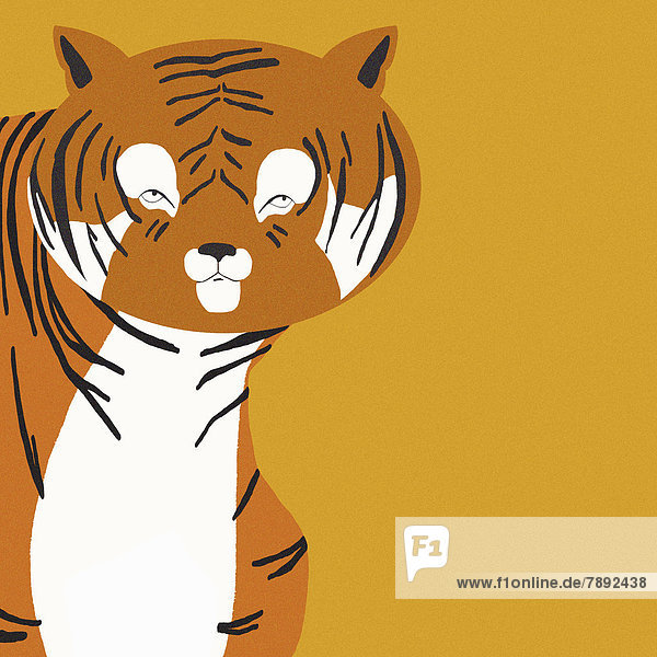 Portrait eines Tigers auf orangefarbenem Hintergrund