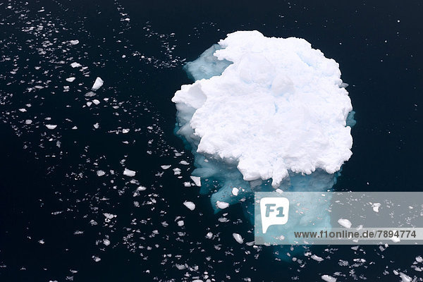 Small iceberg in the Errera Channel