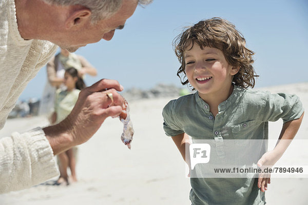 Man showing a jellyfish to his grandson on the beach