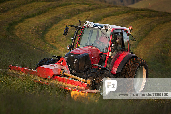 Traktor beim Heu mähen