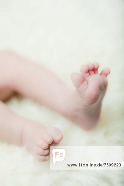 Feet of a baby on a sheepskin rug
