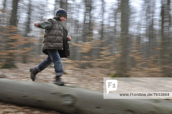 7-jähriger Junge läuft im Wald über einen Baumstamm
