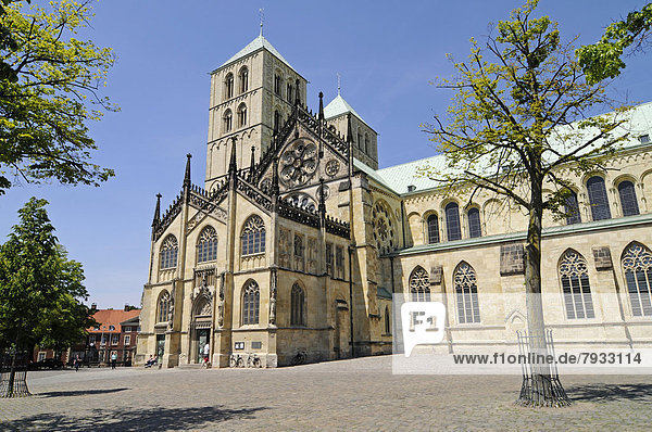 Muenster Cathedral  St.-Paulus-Dom  Domplatz square