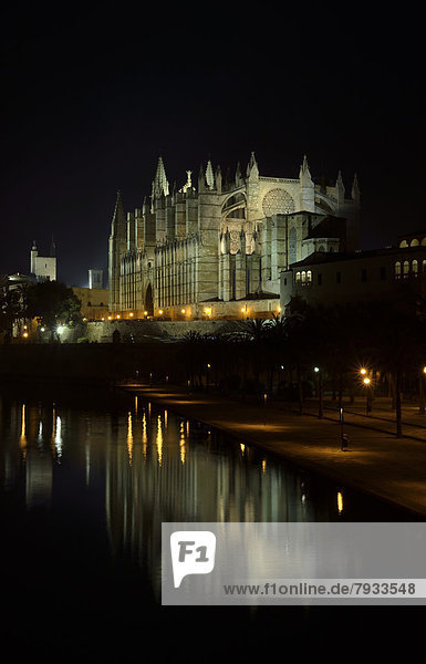 'Illuminated Gothic Cathedral of Palma or ''La Seu'' at night'