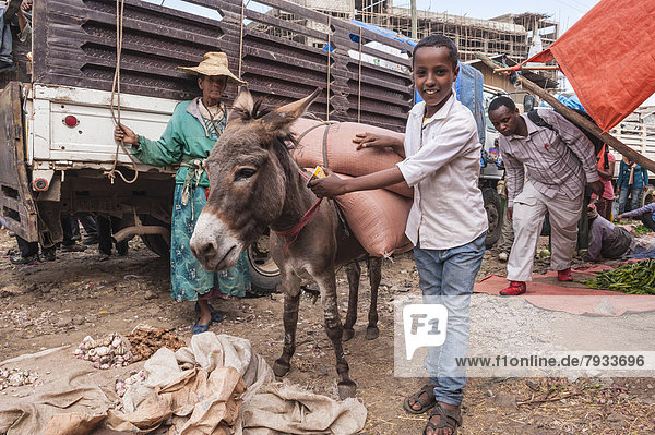 Boy with a pack donkey  market street scene  Mercato of Addis Ababa