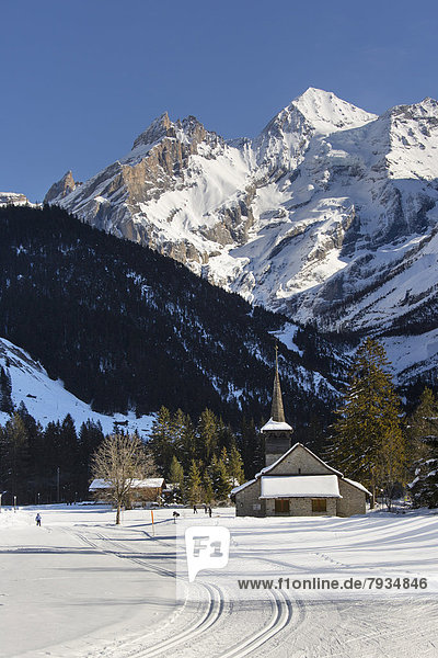 Winter landscape with cross-country skiers  Blueemlisalp Massif in the middle  St. Mary's Church
