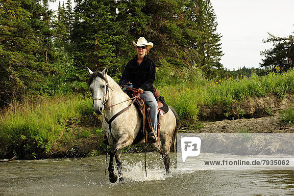 Cowgirl reitet auf einem Schimmel durch einen Fluss