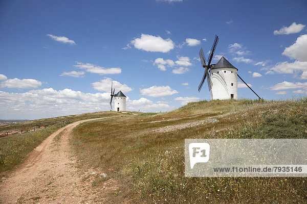 Zwei Windmühlen  Alcázar de San Juan  Kastilien-La Mancha  Spanien  Europa