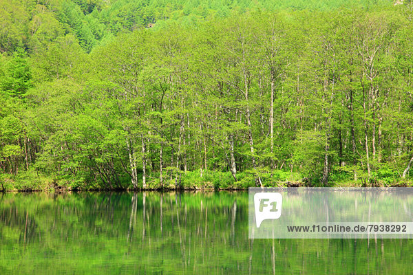 Wasser  Baum  Teich  Spiegelung  Nagano